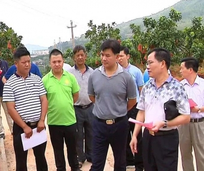 钟光灵率队到石扇镇指导防汛抗旱工作