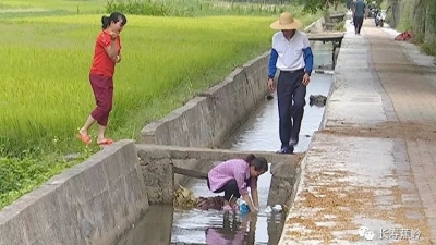 蕉岭新铺干群齐抗旱保用水，科学调水“解渴”