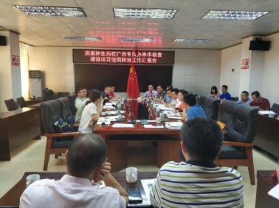 国家林业局驻广州专员办到丰顺检查建设项目使用林地情况 