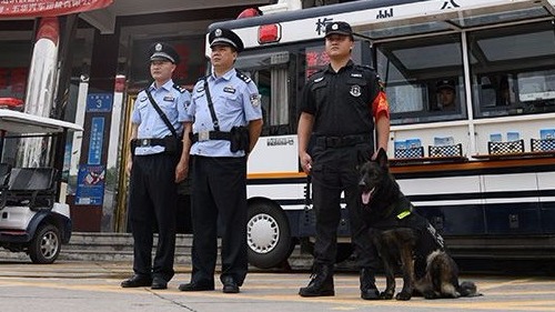 警犬亮相五华街头执勤，很萌也很猛！