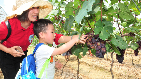 好看好玩还有好吃的，蕉岭这个地方要火！
