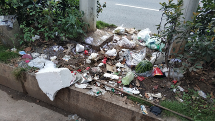 不忍直视！梅城环城路多处绿化带竟成垃圾堆