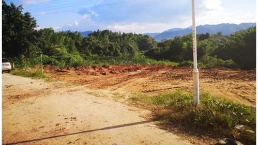 追踪丨大埔百侯镇东山村路旁垃圾已清走