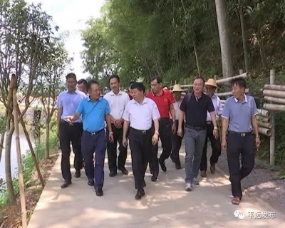 深圳梅县商会考察团一行到平远考察