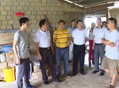 程学晋到丰顺开展精准扶贫“回头看”及问题整改督导工作