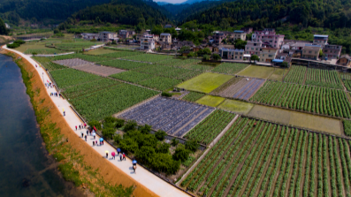 互鉴互学！聚焦梅州各地推进乡村振兴战略基层实践
