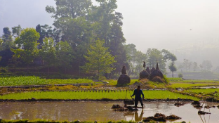 小记者丨乡村交响曲