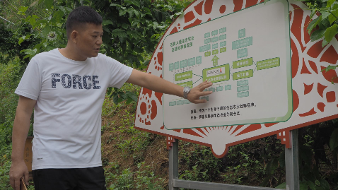 梅州新农人丨陈远航：用社群模式“撬动”蜜柚事业