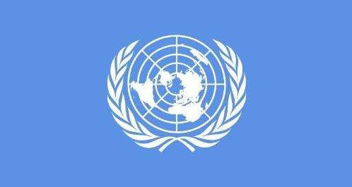 联合国大会将选举新的安理会非常任理事国