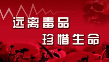 梅江区多部门组成服务队走进城西职校，宣传禁毒知识