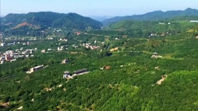 梅县区：打好污染防治攻坚战加快建设生态富民强区