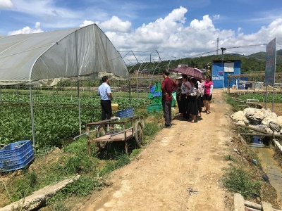 五华县妇联到华阳镇开展“乡村振兴巾帼行动”科技服务活动