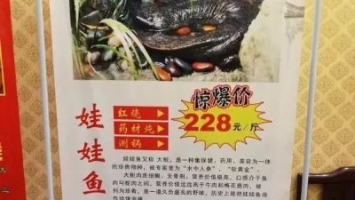 公开叫卖娃娃鱼？河南一饭店：只为吸引顾客