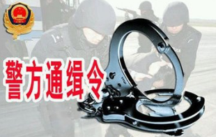 A级通缉令！公安部通缉第三批十名文物犯罪在逃人员
