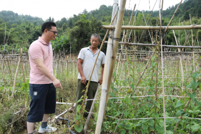 做好农村“领头雁”！第一书记“导航”奔康致富路