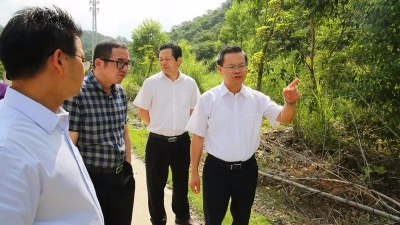 曾永祥、廖茂忠率队督查城乡环境卫生整治情况