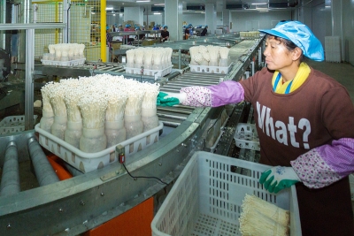 丰顺探索金融扶贫新模式：“贷”动贫困户脱贫致富