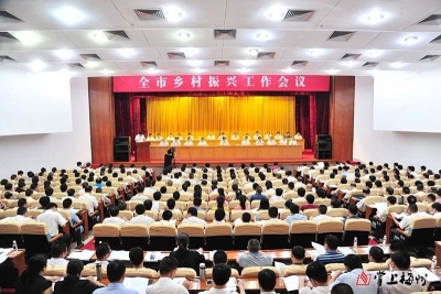 时评丨真抓实干做好乡村振兴大文章