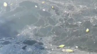 河水黑臭却成了"市民休闲好去处"?群众满意度还100%?
