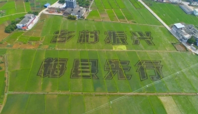 钟光灵主持召开梅县区书记专题会议