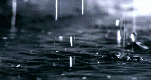 有（雷）阵雨！梅州人的端午假期恐将“泡汤”