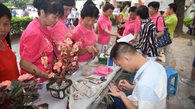 丰顺非遗宣传进社区进校园   “面对面”展示非遗