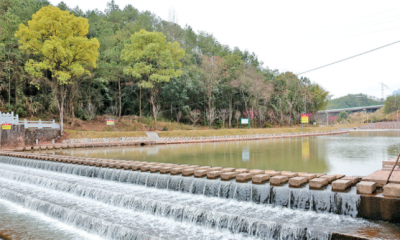 平远常态化开展河道巡查工作  落实河长制守好“责任河”