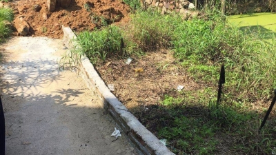 3.5米宽的道路被占了约2.5米！2年后终于“退耕还路”