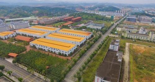 蕉华工业园开展志愿服务活动整治环境