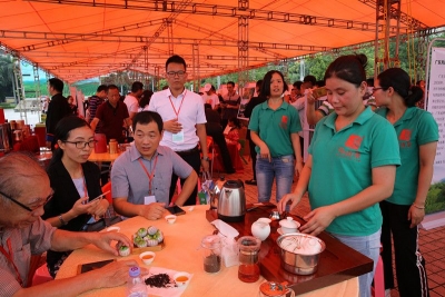 品好茶，赏美景！2018广东•丰顺高山茶文化节开幕