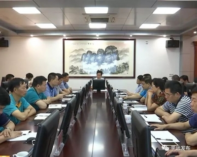 杨栋主持召开政府常务会议 研究部署近期工作