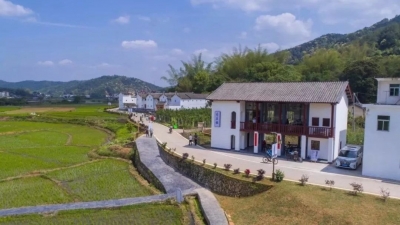 梅县区调频对标 提升乡村振兴发展质量