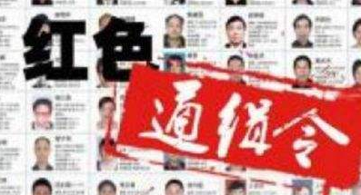 江苏红通人员王颀投案 涉嫌职务侵占罪于2013年外逃