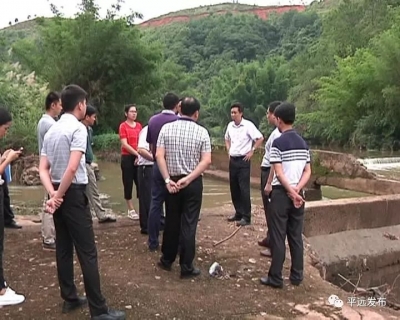 杨栋率队到石正镇巡河，落实“河长制”巡查工作