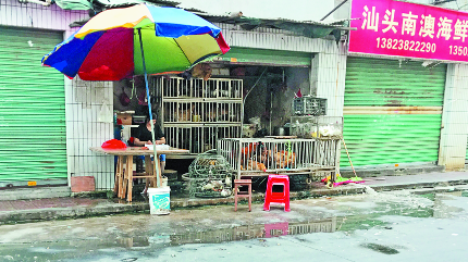 污水流街边 鸡毛散一地！梅城农贸市场卫生仍需加强整治