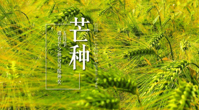 6日1时29分“芒种”：麦黄梅熟，仲夏开始
