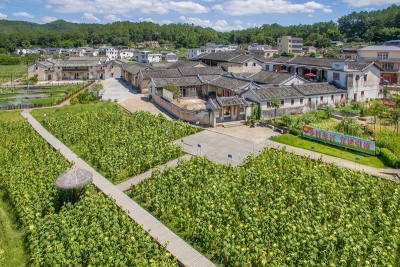 美美美！大埔西河北塘村省级新农村连片示范区建设显成效