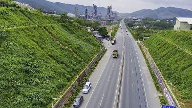 这个好！蕉岭煤石荒坡穿上“绿衣”