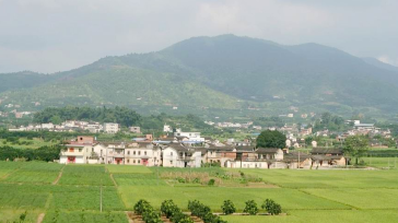 梅县区石扇镇：年底前完成13.3万亩粮食生产功能区划定工作