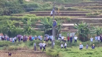 不顾安全警示爬电杆，五华一电工作业时触电身亡