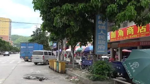 暗访五华岐岭镇：卫生环境问题不少 需下苦功夫解决