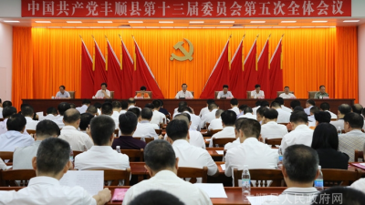 中共丰顺县委十三届五次全会闭幕，曾永祥作总结