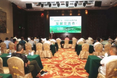 众多茶叶专家学者齐聚！丰顺高山茶产业发展交流会举行