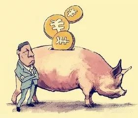 辣评丨“注水肉”背后是监管的“放水”