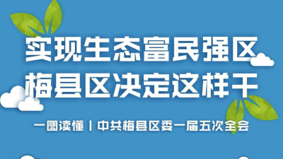 一图读懂中共梅州市梅县区委一届五次全会，你想知道的内容都在这里