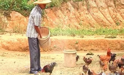 这里的村民自愿让地支持美丽乡村建设！来看