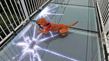 绝美惊心！7D玻璃吊桥见过没？就在八乡山大峡谷