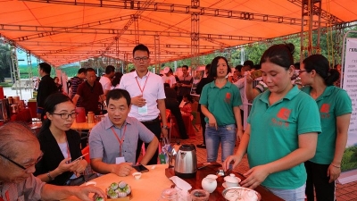 2018广东·丰顺高山茶文化节签约总额超3亿元