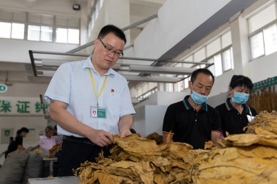 奋斗者的故事丨汤海雄：时刻把烟农利益放第一位