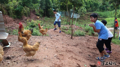 小记者杨泓灏作品丨激烈的“战争”